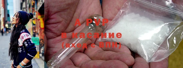 ПСИЛОЦИБИНОВЫЕ ГРИБЫ Ельня