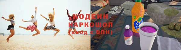 ПСИЛОЦИБИНОВЫЕ ГРИБЫ Ельня
