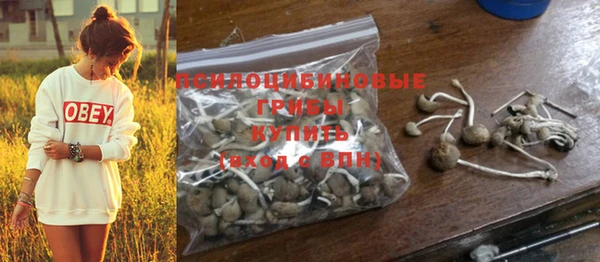 ПСИЛОЦИБИНОВЫЕ ГРИБЫ Ельня