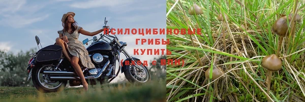 спайс Елизово