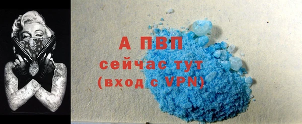 прущие грибы Заволжье