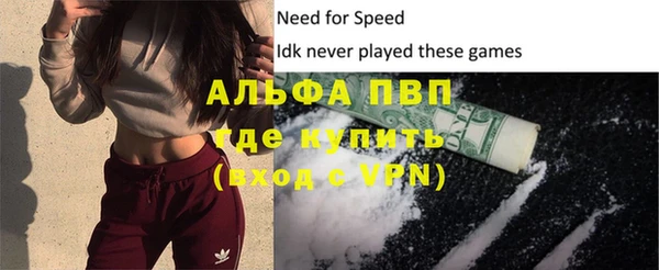 ПСИЛОЦИБИНОВЫЕ ГРИБЫ Ельня